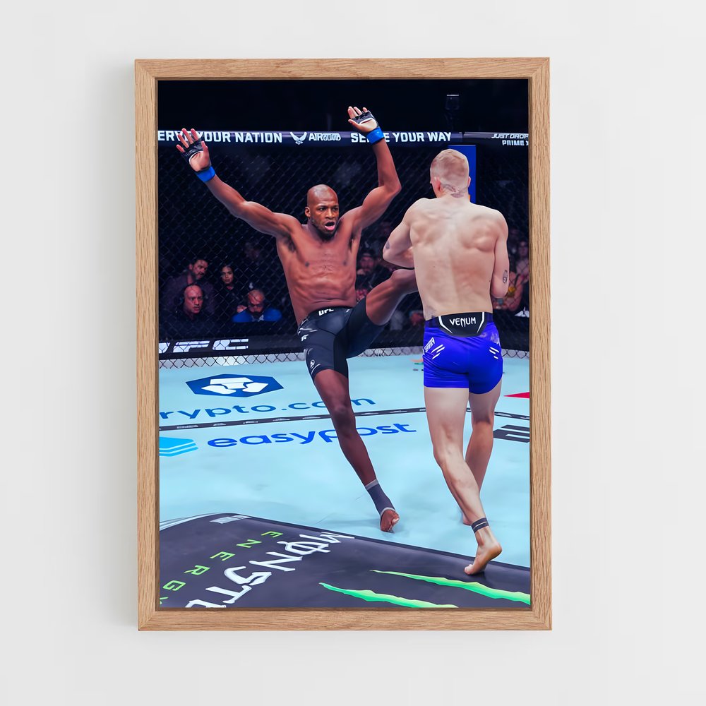 Poster K.O. Spectaculaire – affiche MMA (vue 4)